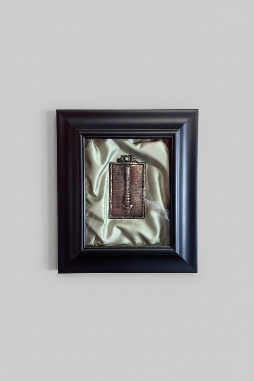 Serie Noir Essence - Quadro Ex Voto Colonna Vertebrale su Sfondo Verde Chirurgico 33x39